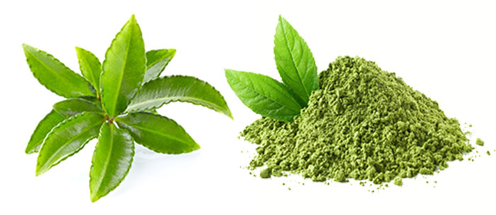 Prirodne supstance u kozmetici - zeleni čaj